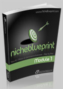 Niche Blueprint Report