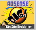 Adsense Reveneu